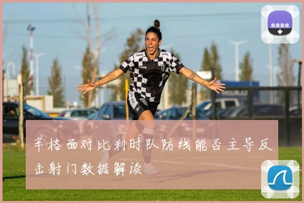 辛格面对比利时队防线能否主导反击射门数据解读