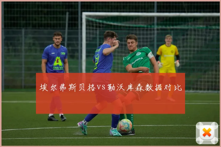 埃尔弗斯贝格vs勒沃库森数据对比