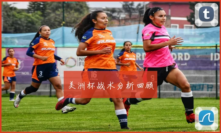 美洲杯战术分析回顾