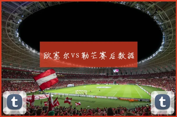 欧塞尔vs勒芒赛后数据